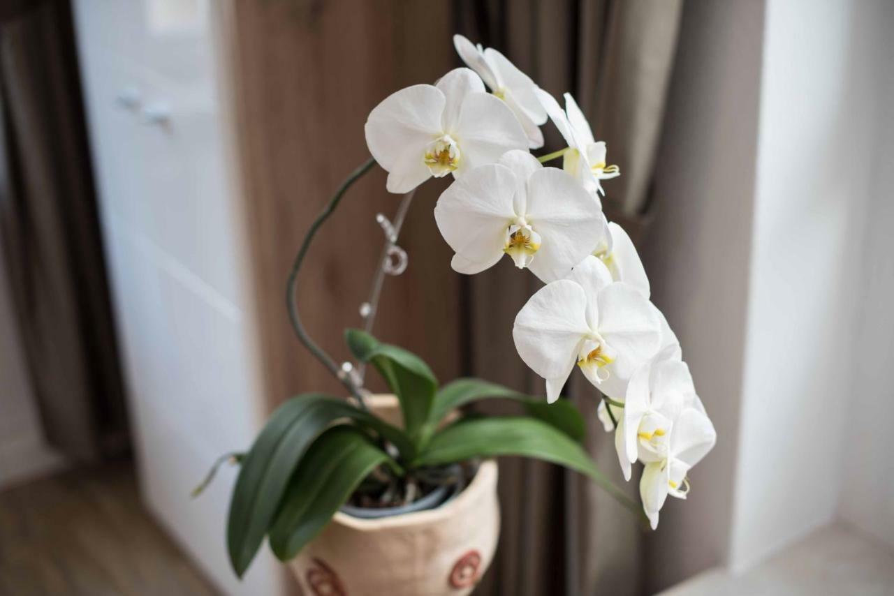 Sonnenhof Plauen Apartment Ngoại thất bức ảnh